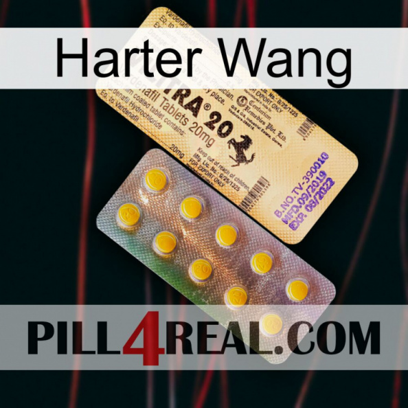 Hard Wang new06